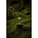 Konstsmide Lampe de table à accu LYON avec connexion USB, CCT Switch, RGB, avec variateur tactile IP54, vert, gris gradable
