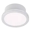 ceiling luminaire AQUA UNO round, CCT Switch, switchable GX53 IP44, silver leaf 
