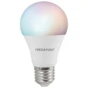 Lampe LED forme poire  MATTER A60 SMD RGB+CCT+DIM CCT Switch, RGBW