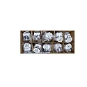 Megaman outdoor recessed luminaire TEGO SLIM DOWNLIGHT 68MM rigid, set of 10 IP65, white dimmable