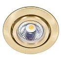 Recessed spot DOWNLIGHT C 3840, Ø 7cm, swiveling, brushed brass