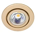 Recessed spot DOWNLIGHT C 3840, Ø 7cm, swiveling, gold
