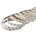 nobilé Bande LED 5050 RGB+WW/CW SMD - 2M / 12MM RGBW blanche