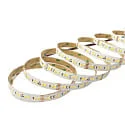 nobilé LED Strip SMD 2835 SCCT MP - 2M / 12MM CCT Switch, multipower white
