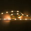 Bande LED LED SMD 5050 IP20, gradable