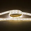 Bande LED LED SMD 3528 dimmable IP67, gradable