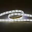 Bande LED LED SMD 3528 IP67, gradable