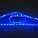 Bande LED LED SMD 3528 IP67, gradable