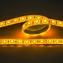 Bande LED LED SMD 5050 IP67, gradable