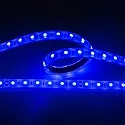 Bande LED LED SMD 5050 IP67, gradable
