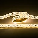 Bande LED LED SMD 5050 IP67, gradable