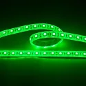 Bande LED LED SMD 5050 IP67, gradable
