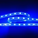Bande LED LED SMD 5050 IP20, gradable