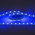 Bande LED LED SMD 5050 IP20, gradable