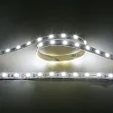 Bande LED LED SMD 5050 IP20, gradable