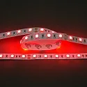 Bande LED LED SMD 5050 IP20, gradable