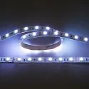 nobilé Bande LED LED SMD 5050 IP20, gradable