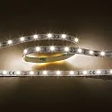 Bande LED LED SMD 3528 IP20, gradable