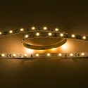 Bande LED LED SMD 3528 IP20, gradable