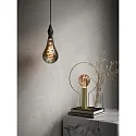 Nordlux Ampoule Edison forme d'ampoule DECO PS160 SPIRAL A160 clair E27 8,5W 200lm 1800K 360° CRI 80 gradable dégager