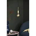 Nordlux Luminaire à suspension PACO à 1 flamme E27 IP20 mat, laiton, noir
