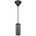 Nordlux Luminaire à suspension ALANIS GU10 IP20, noir  