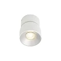 Luminaire de plafond PITCHER GU10 IP20, blanche gradable