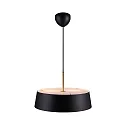 Luminaire à suspension CLASI 45 E27 IP20, noir mat gradable
