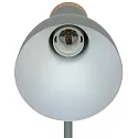 table lamp DEVONE  adjustable, with lamp socket E27 IP20, wood, dusty green 