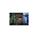 design for the people by Nordlux Luminaire mural d'extérieur FRONT 26 IP44, noir  