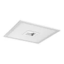 SMART WIFIPLAPLUSHOLEBL450X450RGBTW Tunable White, RGB, contrôlable via WLAN / WIFI, gradable