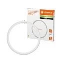 Ledvance Tube LED T5 FC 40/55 EXTERNAL forme de l'anneau 2GX13 21,5W 3200lm 4000K 120° CRI 80-89 gradable