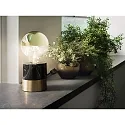 Paulmann Lampe de miroir frontal globe DECO GLOBE G125 LED GOLD G125 clair E27 6,5W 600lm 2700K CRI >80 gradable