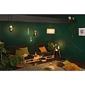 Paulmann Lampe de miroir frontal globe DECO GLOBE G125 LED BLACK MATT G125 clair E27 6,5W 600lm 2700K CRI >80 gradable