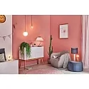 Paulmann LED Filament Globe Lamp G95 GOLD, 230V, E27, 6.5W  2500K 680lm, not dimmable, glass clear
