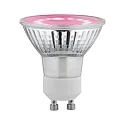 Lampe à réflecteur LED PLANT GU10 3,5W 95lm 1100K 110° 