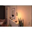 Paulmann Lampe à filament LED METALLIC GLOW CYLINDER HELIX commutable E27 3,5W 110lm 1800K CRI >80 