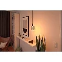 Paulmann Lampe à filament LED METALLIC GLOW CYLINDER SPIRAL commutable E27 4,2W 200lm 1800K CRI >80 
