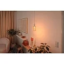 Paulmann Lampe à filament LED METALLIC GLOW CYLINDER HELIX commutable E27 3,5W 130lm 1800K CRI >80 