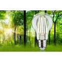 Paulmann filament lamp standard ECO-LINE AGL switchable A60 clear E27 4W 840lm 3000K 360° CRI >80  clear