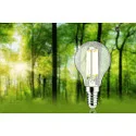 Paulmann Ampoule à filament forme de gouttes ECO-LINE DROP commutable P45 clair E14 2,5W 525lm 3000K 360° CRI >80  dégager