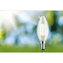 Paulmann Ampoule à filament forme bougie ECO-LINE CANDLE commutable P45 clair E14 4W 840lm 3000K 360° CRI >80  dégager