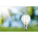 Paulmann Ampoule à filament forme de gouttes ECO-LINE DROP commutable P45 clair E14 4W 840lm 3000K 360° CRI >80  dégager