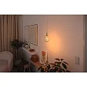 Paulmann LED filament lamp METALLIC GLOW GLOBE  3-STEP DIM E27 4W 180lm 1800K CRI >80 dimmable