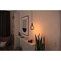 Paulmann Lampe à filament LED METALLIC GLOW GLOBE  3-STEP DIM E27 4W 160lm 1800K CRI >80 gradable
