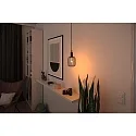 Paulmann Lampe à filament LED METALLIC GLOW CYLINDER 3-STEP DIM E27 4W 160lm 1800K CRI >80 gradable