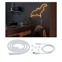 Paulmann Tuyau lumineux à NEON COLORFLEX LED avec connexion USB blanche