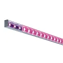 Paulmann Square Profile with diffuser, anodized aluminum