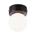 Applique et plafonnier GOVE G9 IP44, mat, noir 