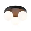 Applique et plafonnier GOVE G9 IP44, mat, noir 